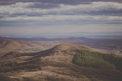 Pic2